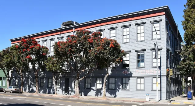 The gray Pioneer Building and flowering trees in San Francisco’s Mission District.