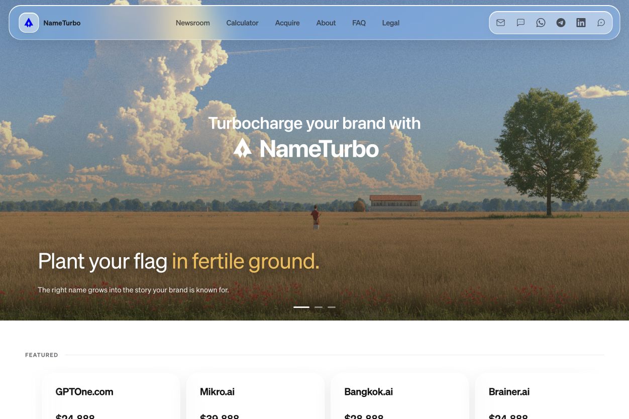 NameTurbo website